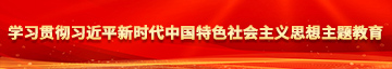 被大吊草学习贯彻习近平新时代中国特色社会主义思想主题教育